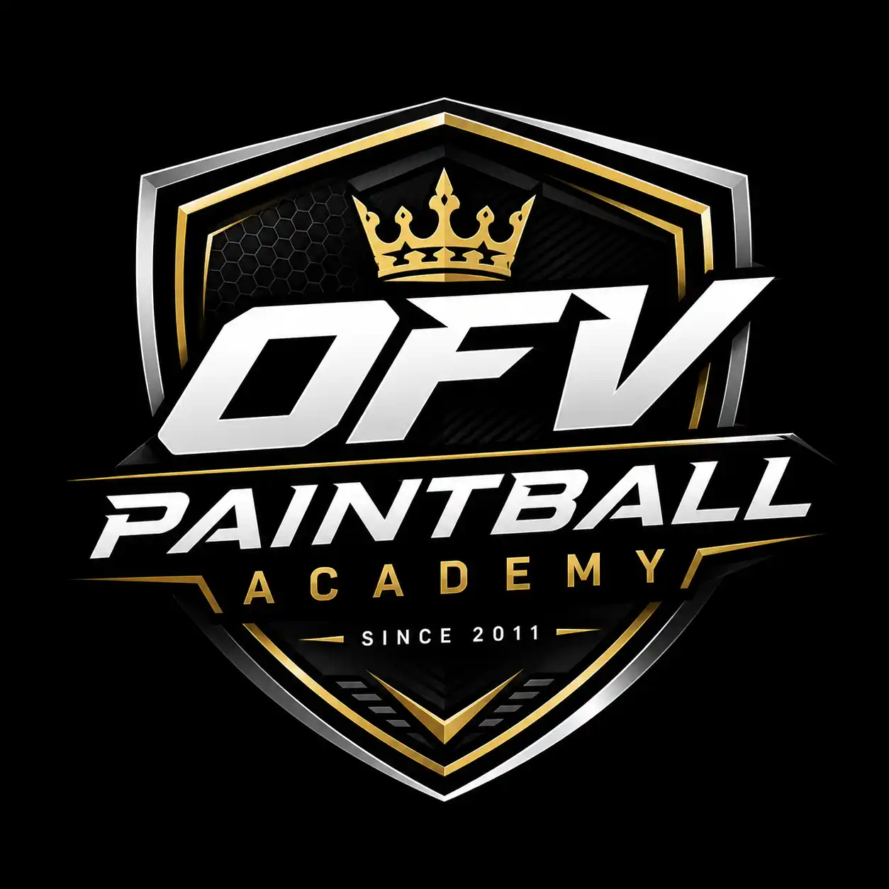 OFV ACADEMY
